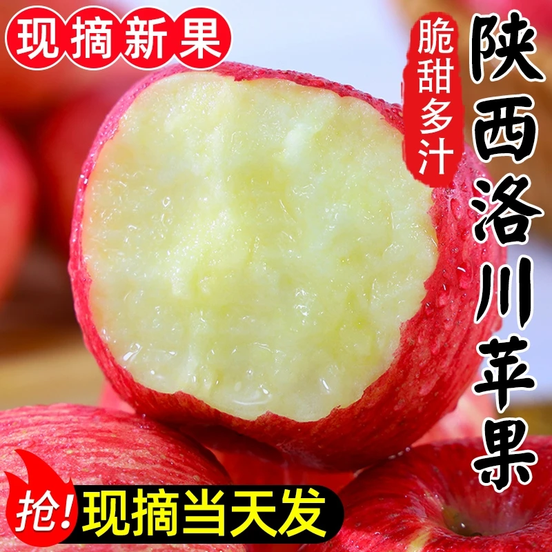 【现摘现发正宗洛川苹果带箱9-10斤】陕西红富士苹果原产地直发ww！.