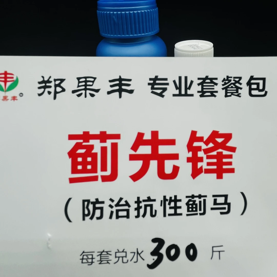 蓟先锋方案一套300斤水防治抗性蓟马