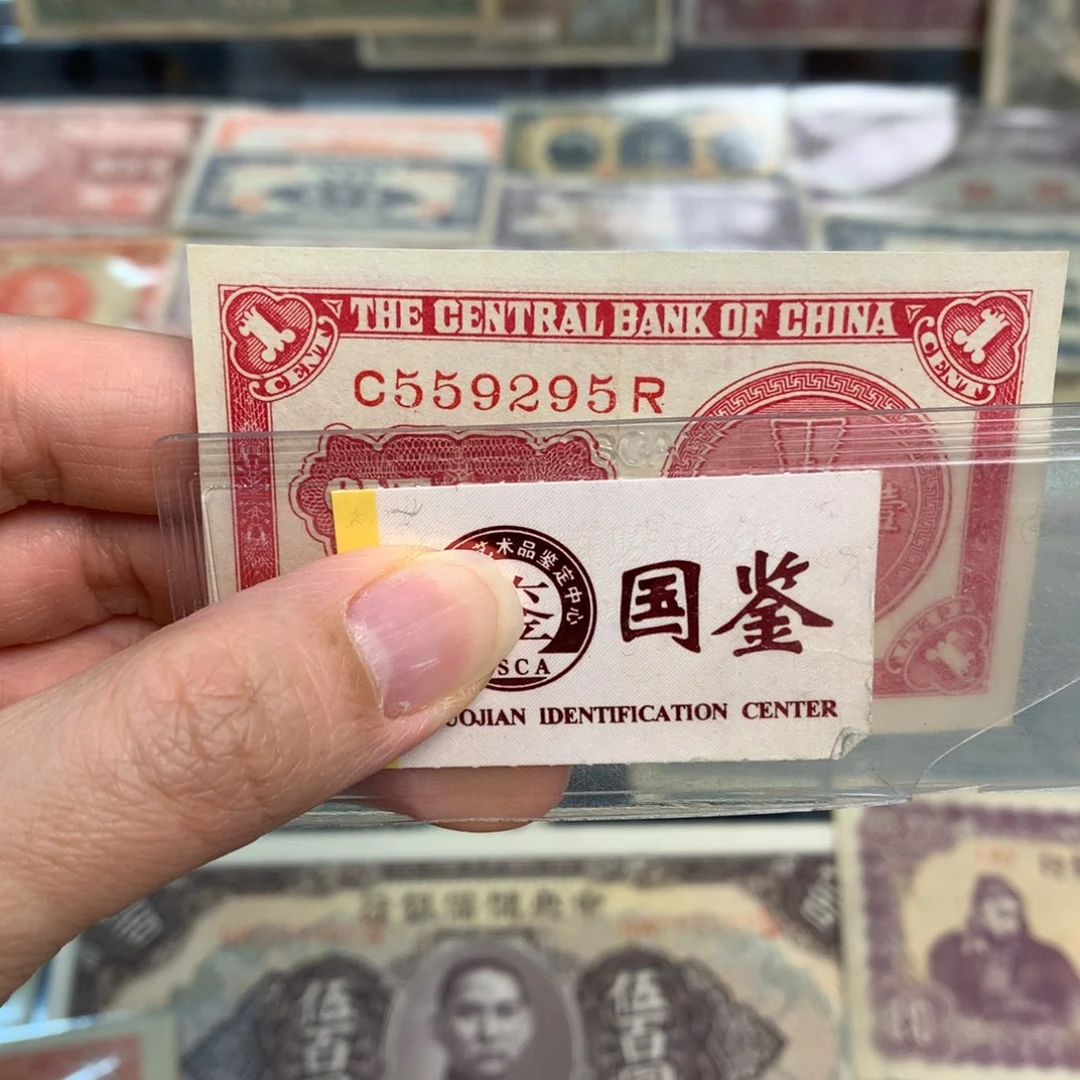 纸559295。