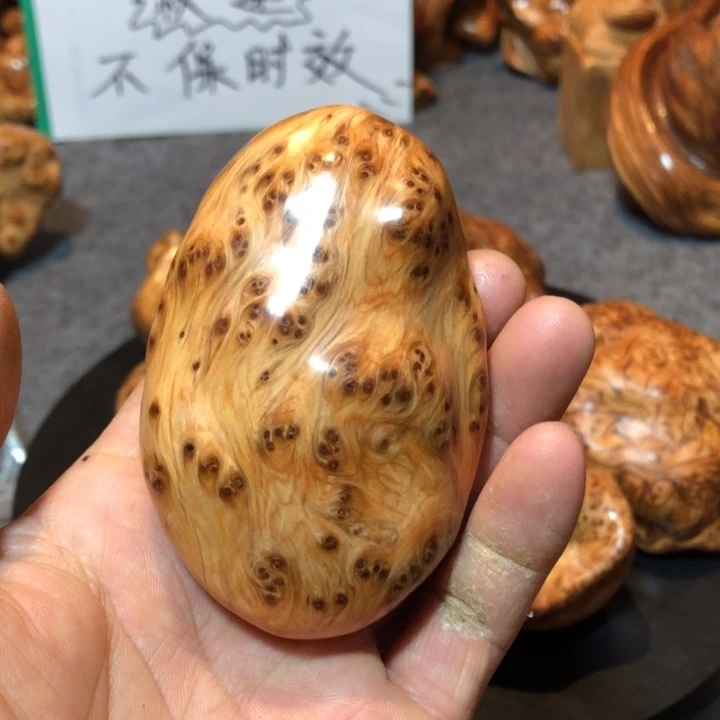 柏木（崖柏）大*子崖柏32