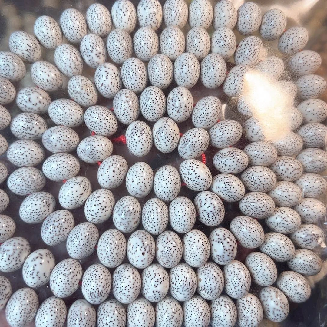 尹***星月菩提手串星月菩提脱脂顺白