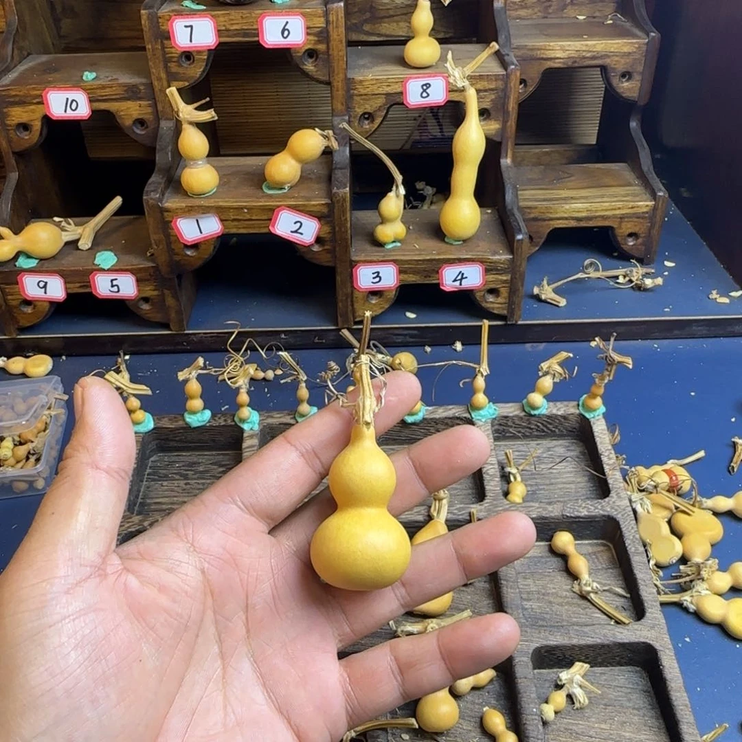 洋*洋我也是很喜欢这个节目的呢我们的综艺