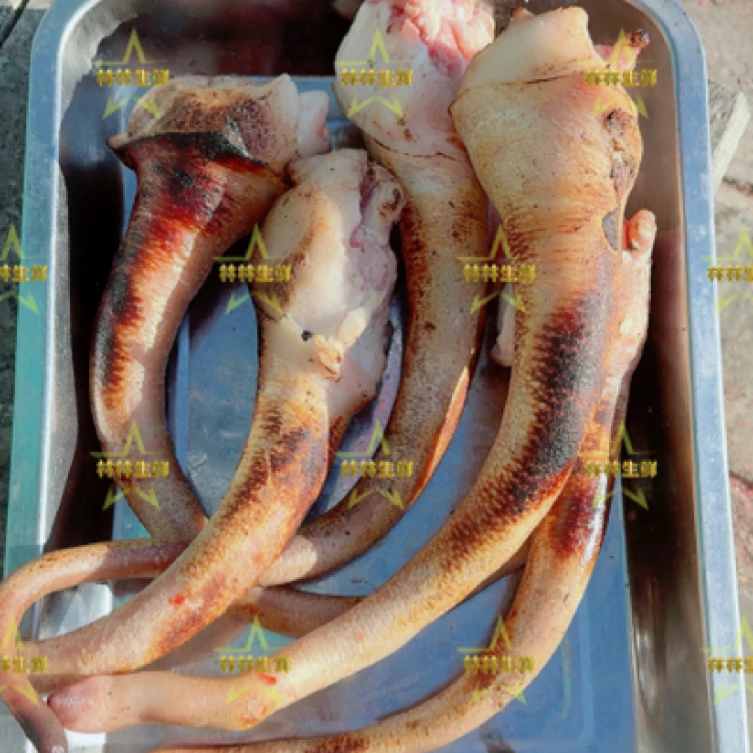 笨猪尾-纯粮笨猪尾没有特定长度5斤（嫌肥慎拍批发）新鲜正宗生鲜