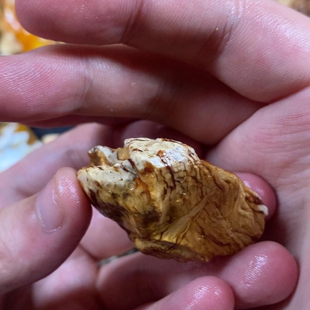 定制琥珀未镶嵌赞**者琥珀蜜蜡原石定制