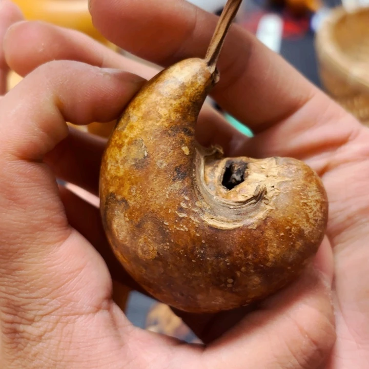 a****u抽印8888888888888888