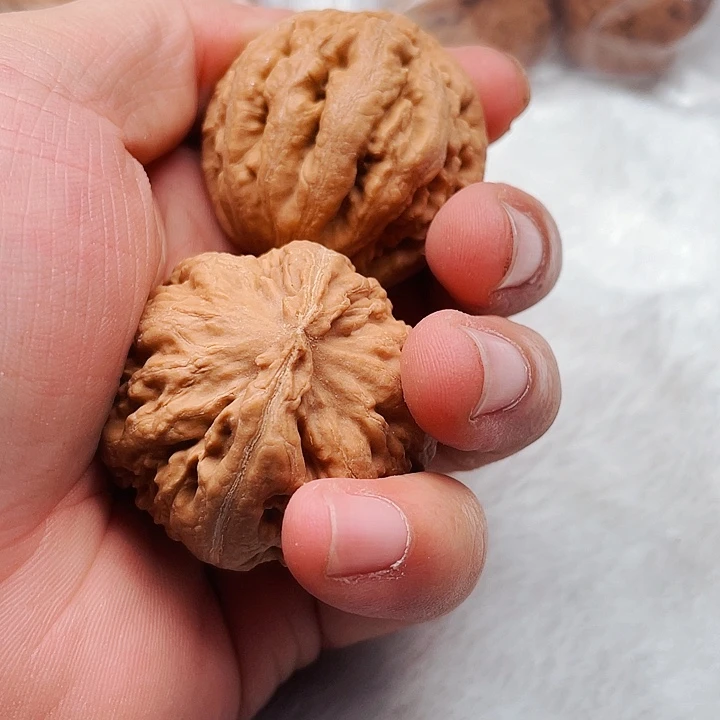 霸王龙文玩核桃43