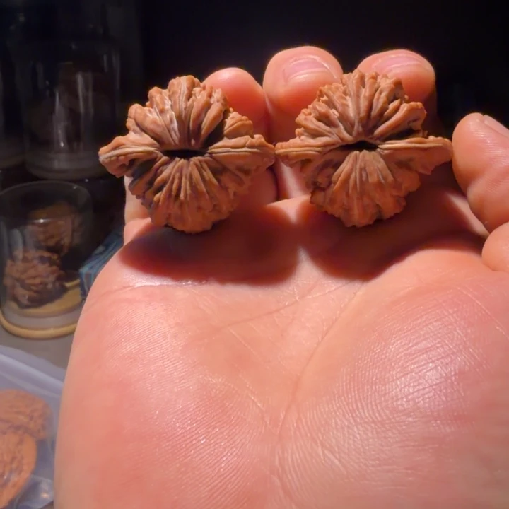 七***筒吊坠文玩核桃41全品角楼