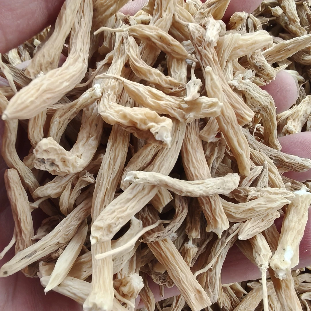 正宗野生麦冬自然晒干