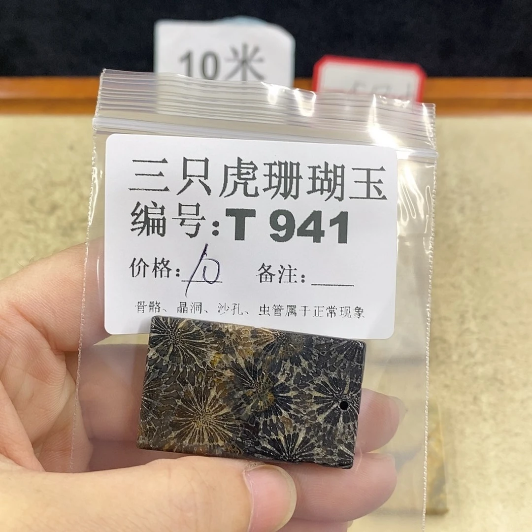 硅化珊瑚（珊瑚玉）1未镶嵌G**a