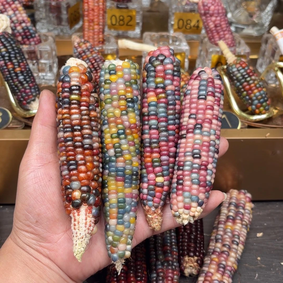 柏香籽/百香籽吊坠喜*