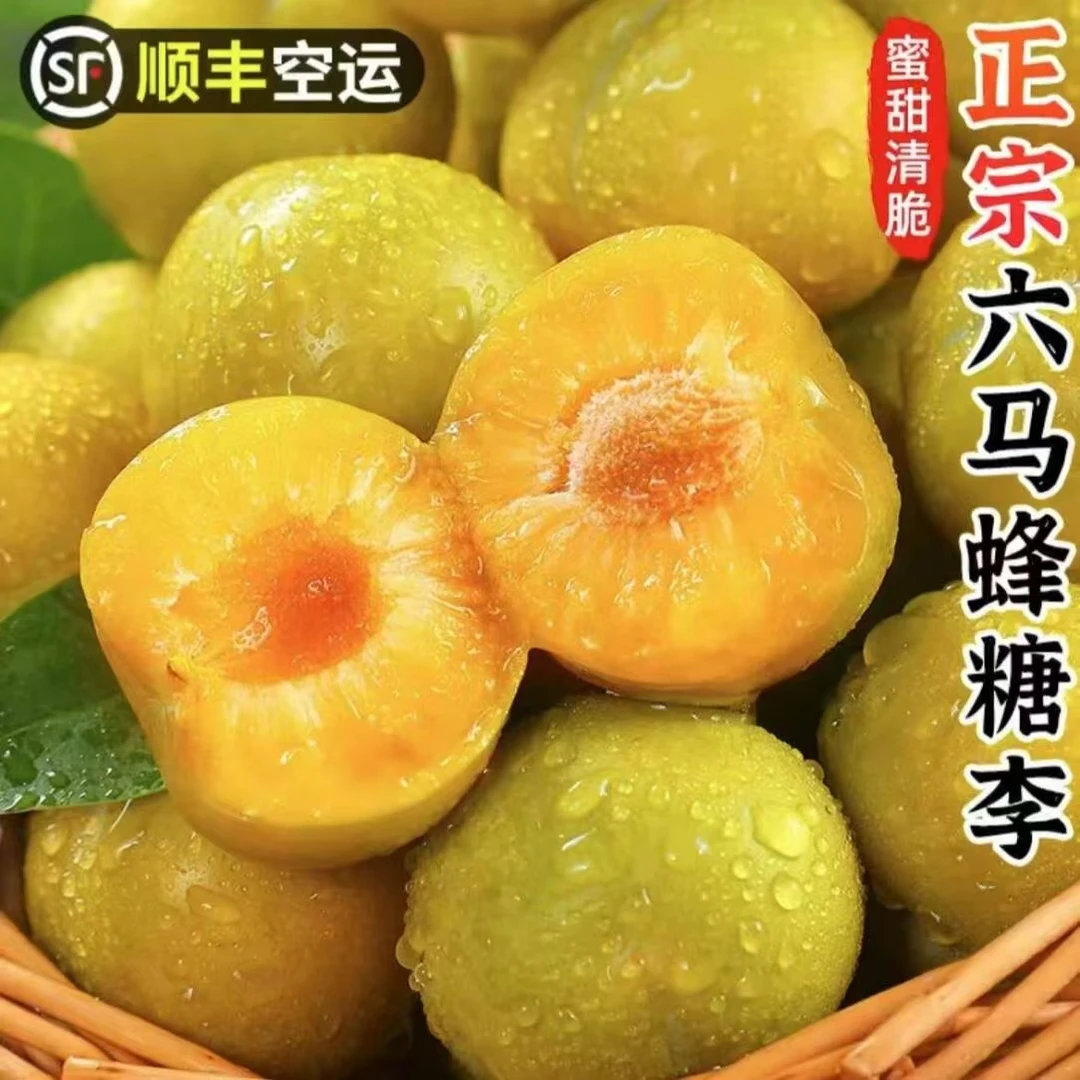 【顺丰包邮】正宗贵州镇宁六马蜂糖李新鲜应季清甜清脆源头产地直发