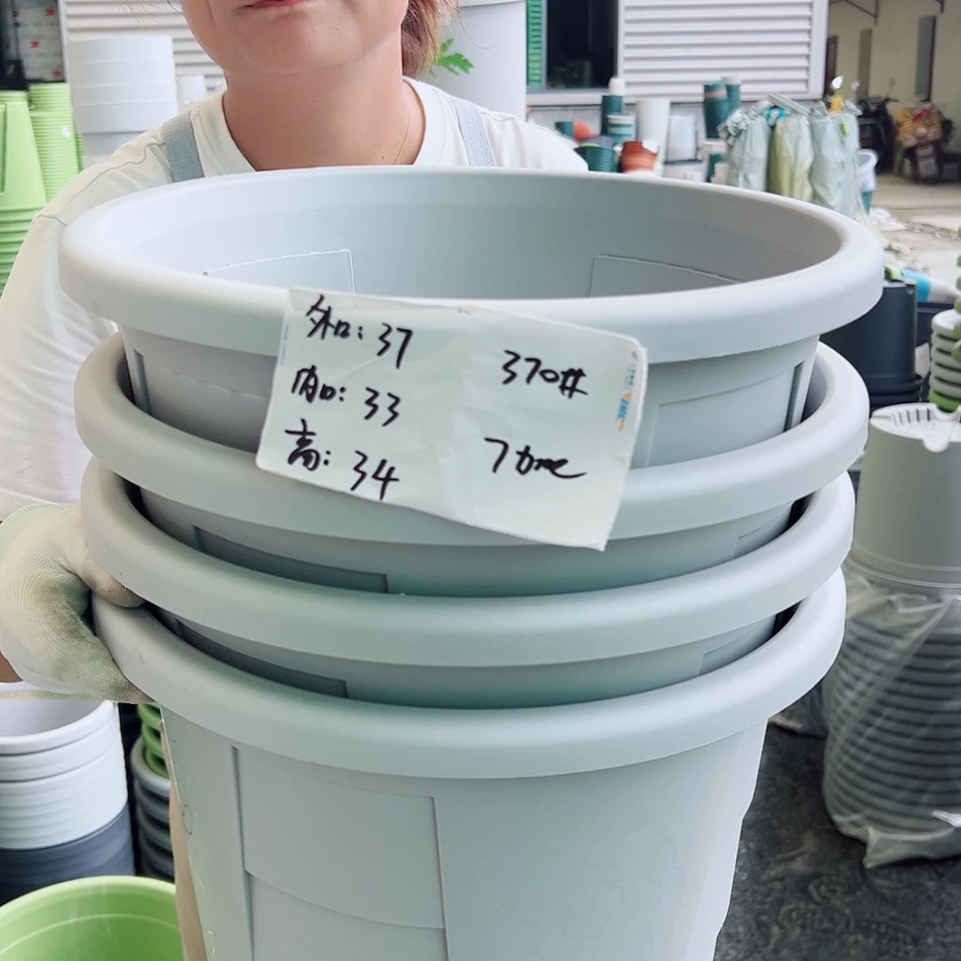 玫瑰370#灰白色4个无托