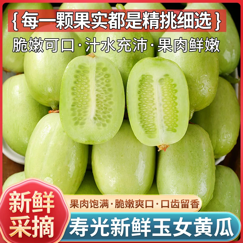 寿光玉女黄瓜新鲜拇指黄瓜白玉黄瓜青瓜包邮手指迷你水果1斤5斤装