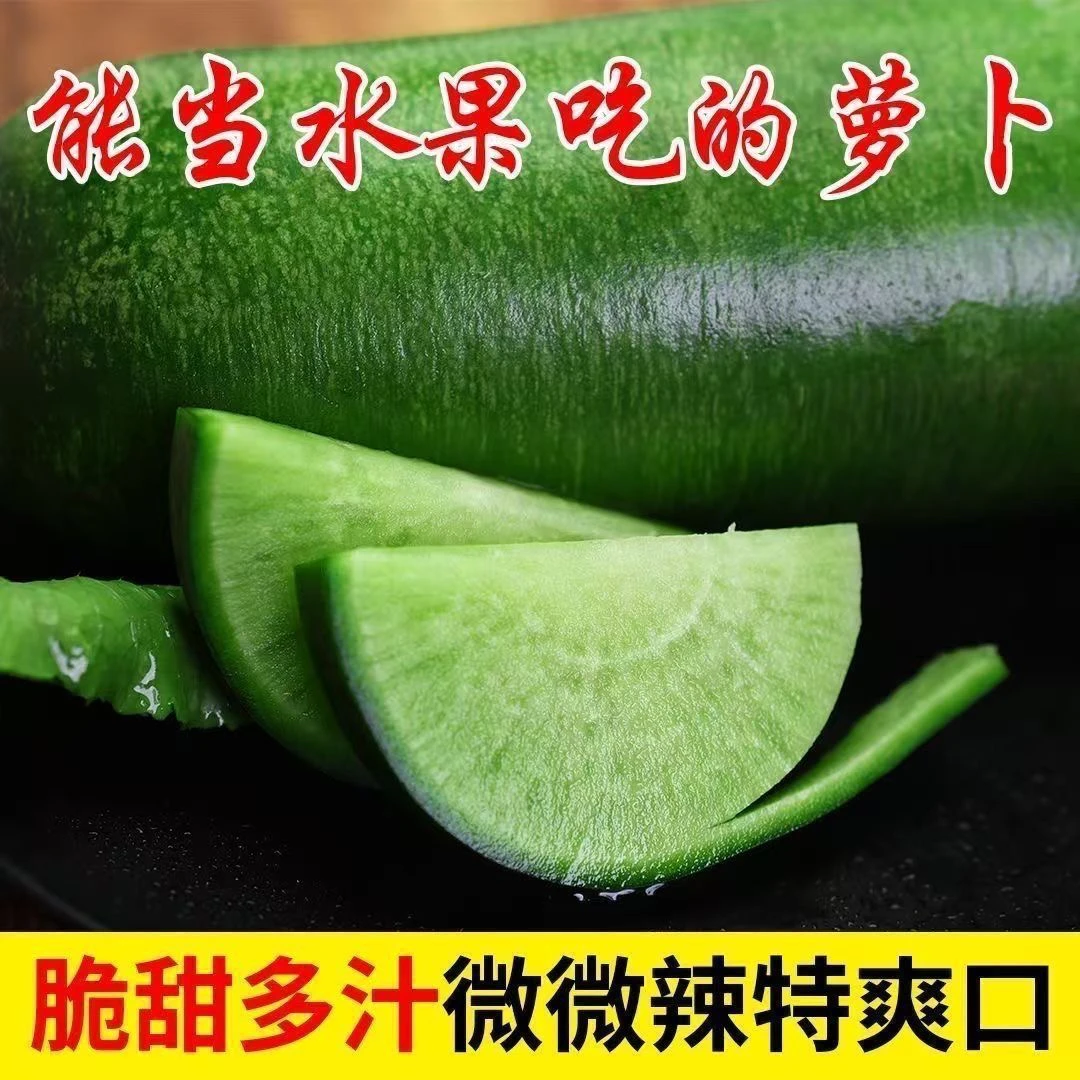 潍坊潍县水果萝卜新鲜现拔脆甜爽口生吃产地直发当季潍县水果萝卜