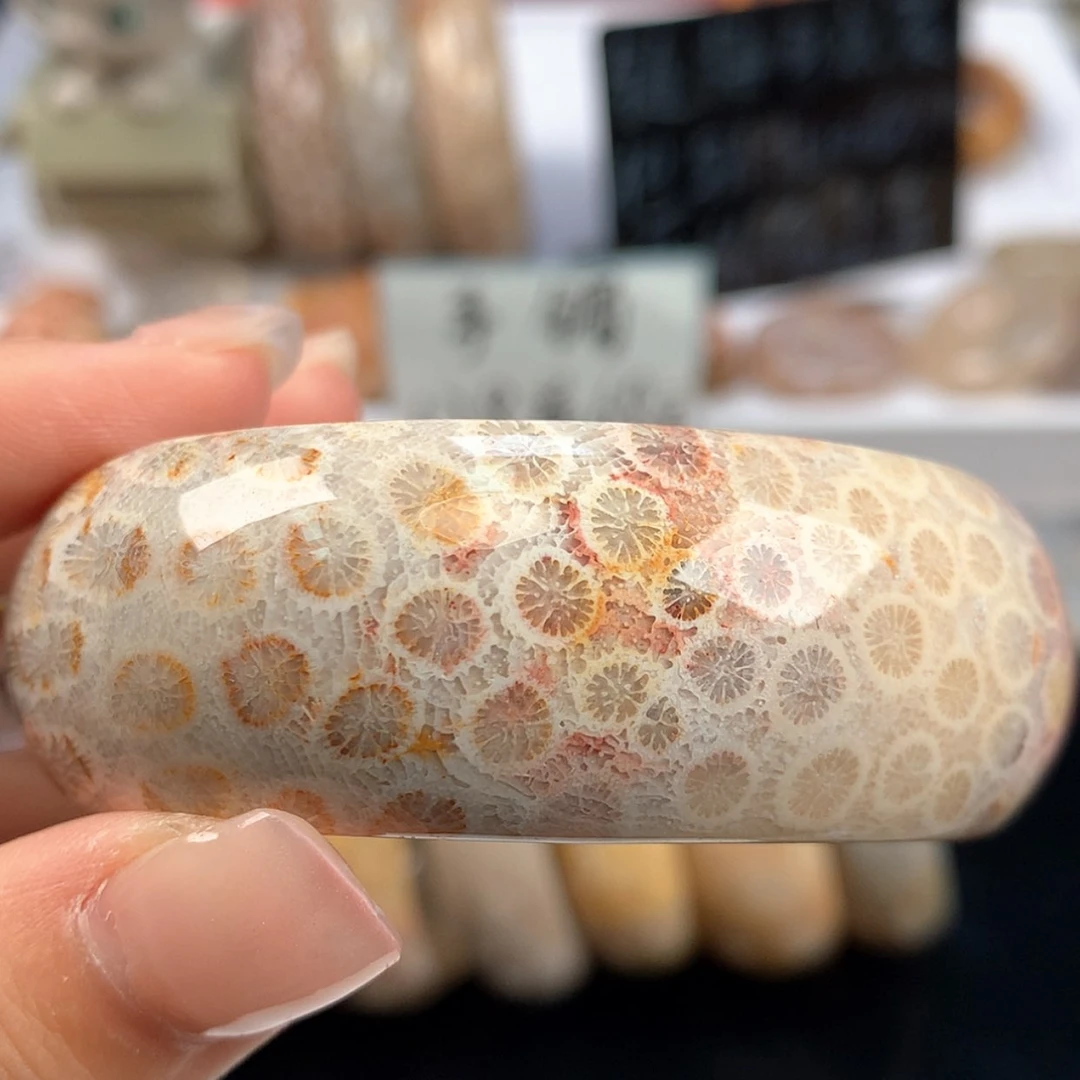 【闪购商品】硅化珊瑚（珊瑚玉）未镶嵌颈饰54.5口（8号）