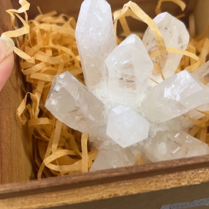 茶宠阿哈哈哈哈哈哈哈哈