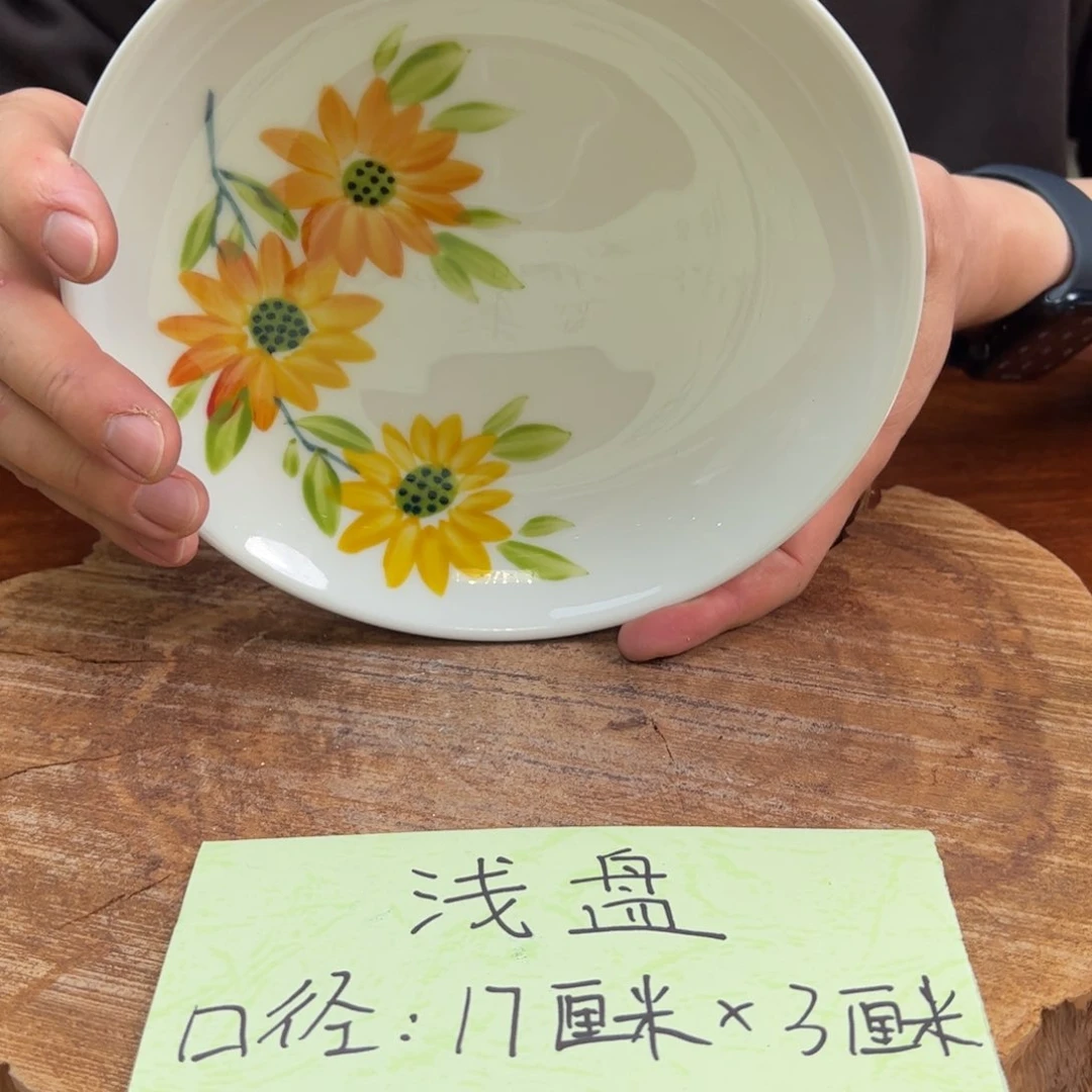瓷片景德镇陶瓷手工手绘大胖碗