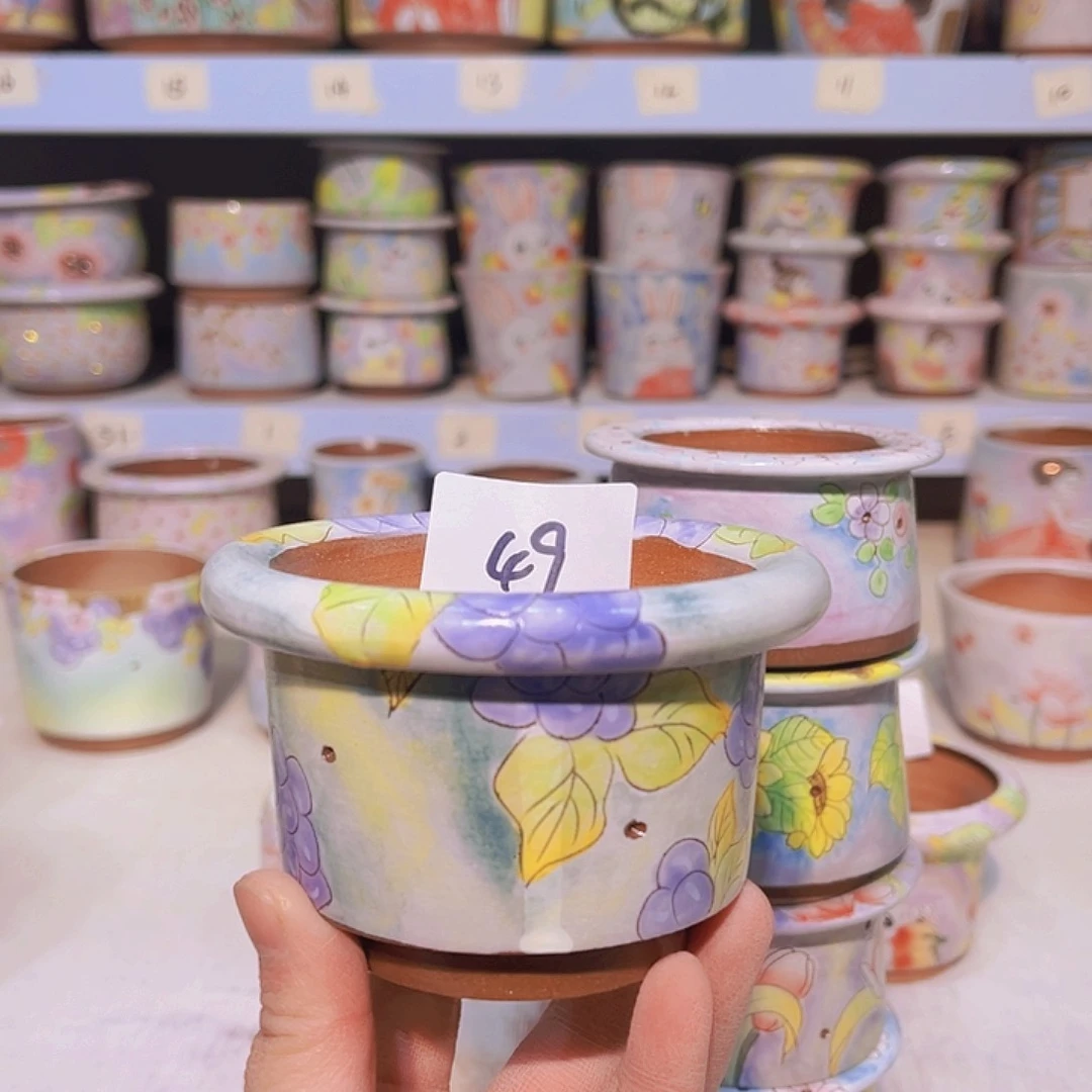 罐多肉植物手绘花景德镇花49