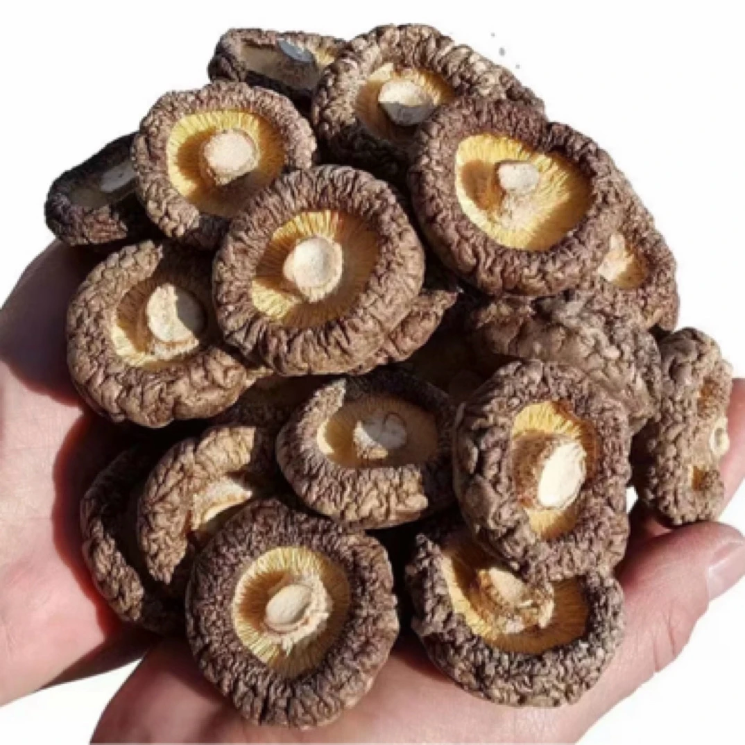 【小香菇】高泡发农家小香菇肉厚鲜美煲汤美味