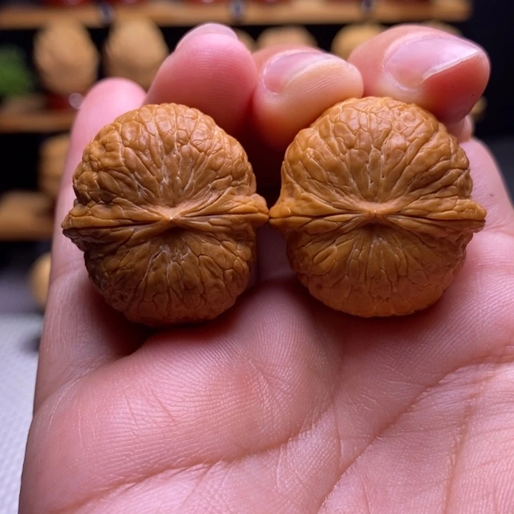 木质类云铁小金豆1号