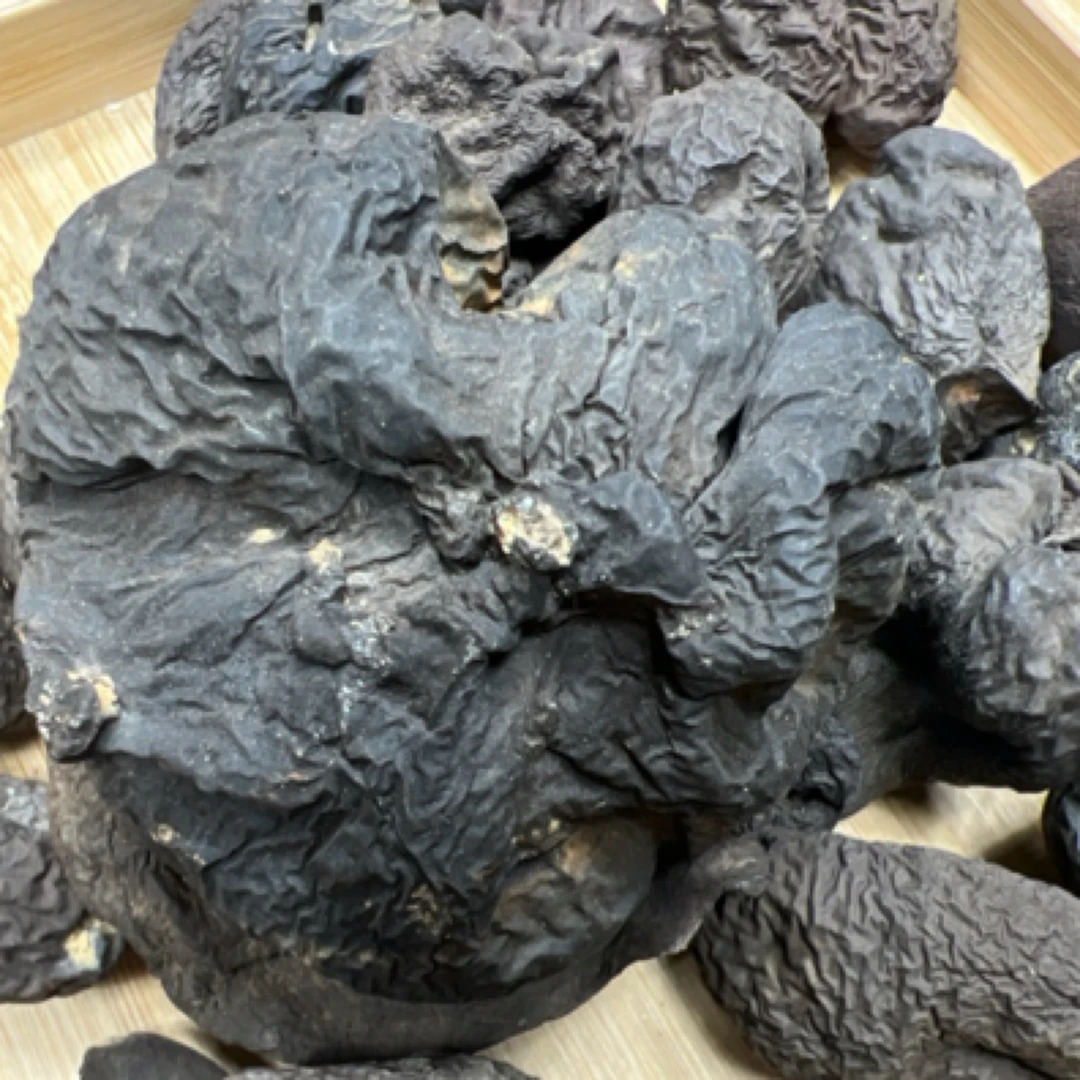 当地野生乌灵参（高原特色产品）打粉吃【喻村长精选】