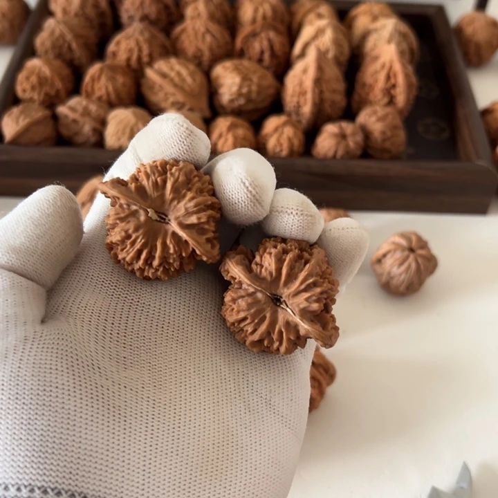 小***风核桃原生全品满天星无药