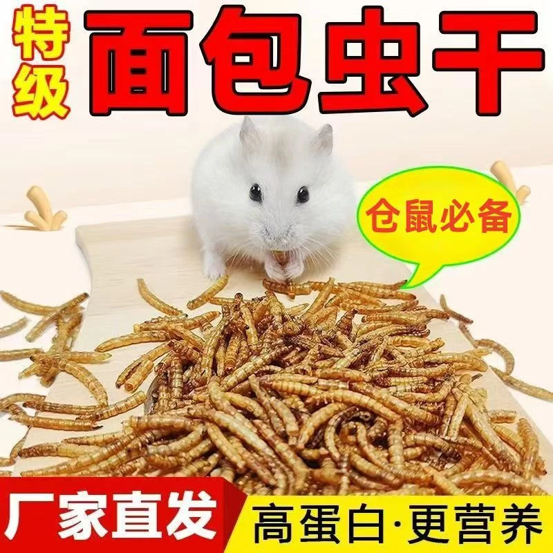 优质面包虫虫干微波烘干龟鱼鸟鸡鸭鹅仓鼠金丝熊狐獴蜜袋鼯爱吃