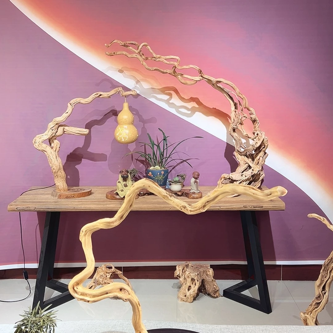 西***茄木天然根艺摆件灯架