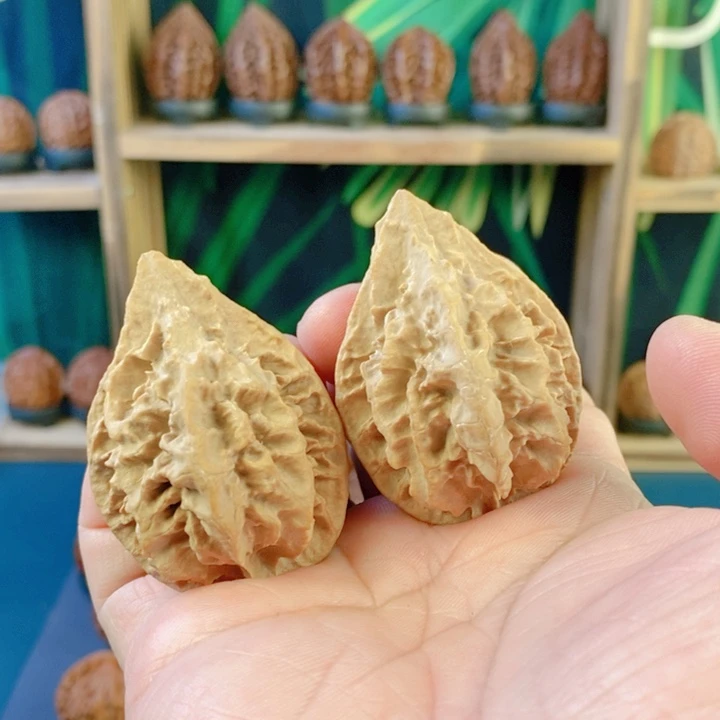 文玩核桃吊坠鸭嘴龙脊40