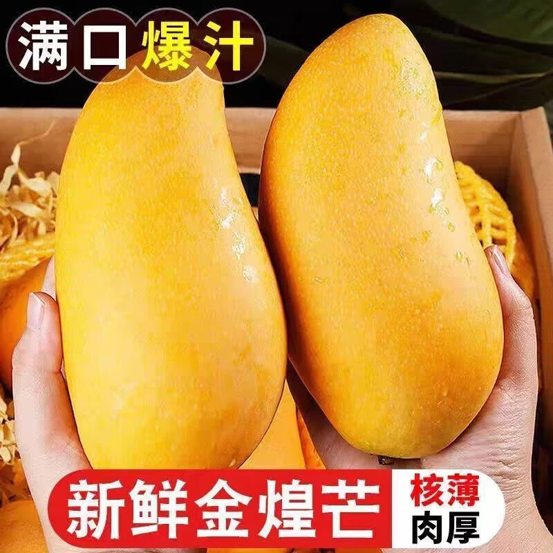 海南金煌芒当季新鲜水果 大芒果小核 果肉饱满 无筋无丝