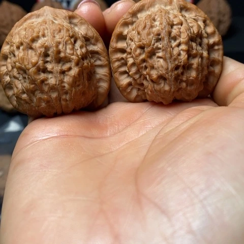 文玩核桃全品无药血麒麟尺42