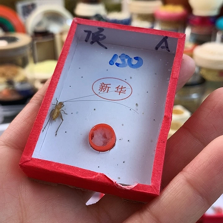 ㊣***㊖补差价大黄啊啊啊啊