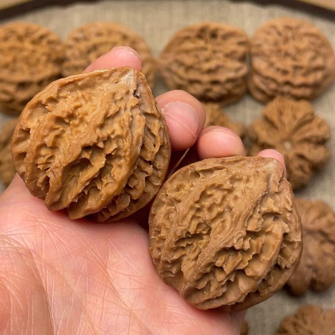 核桃秦岭核桃17号