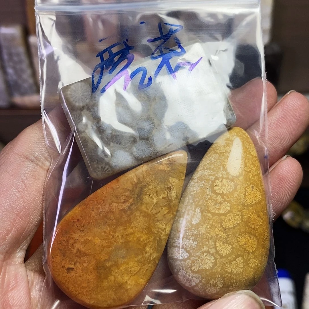 硅化珊瑚（珊瑚玉）吊坠未镶嵌蘑****吃