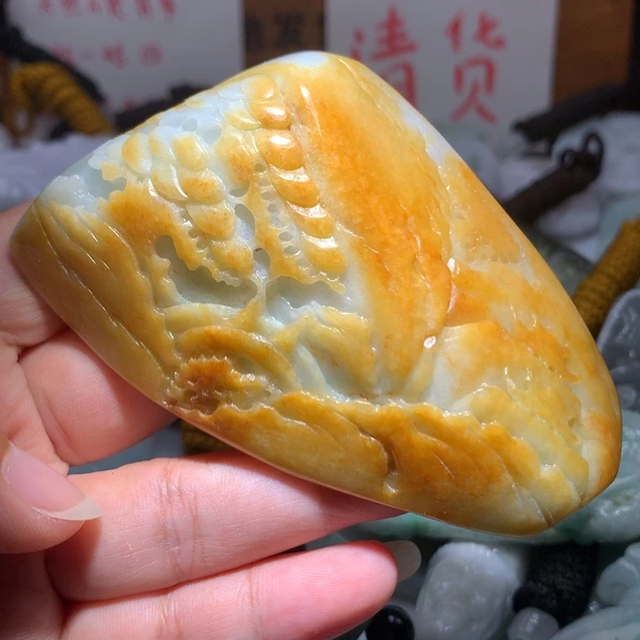 颈饰未镶嵌翡翠保真天然A货翡翠