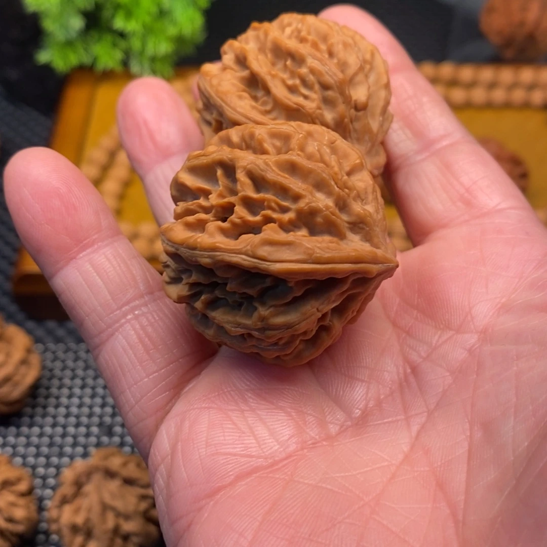 ****苒秦岭森林中发现过几