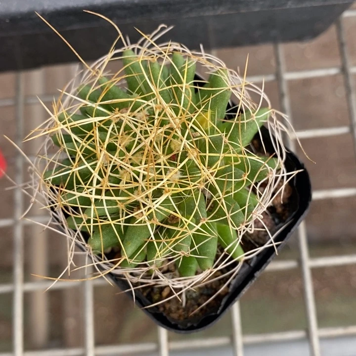 伯克利和他的朋友们在一起