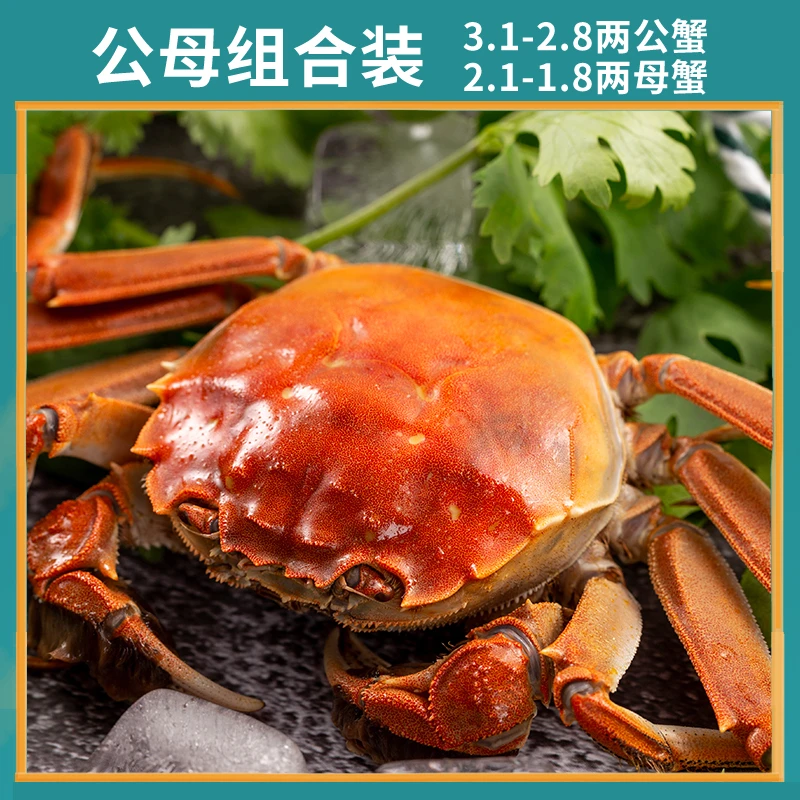 【活蟹】[好运鲤]河蟹 公母组合 公3.1-2.8两 母2.1-1.8两  8-10只装 同城送