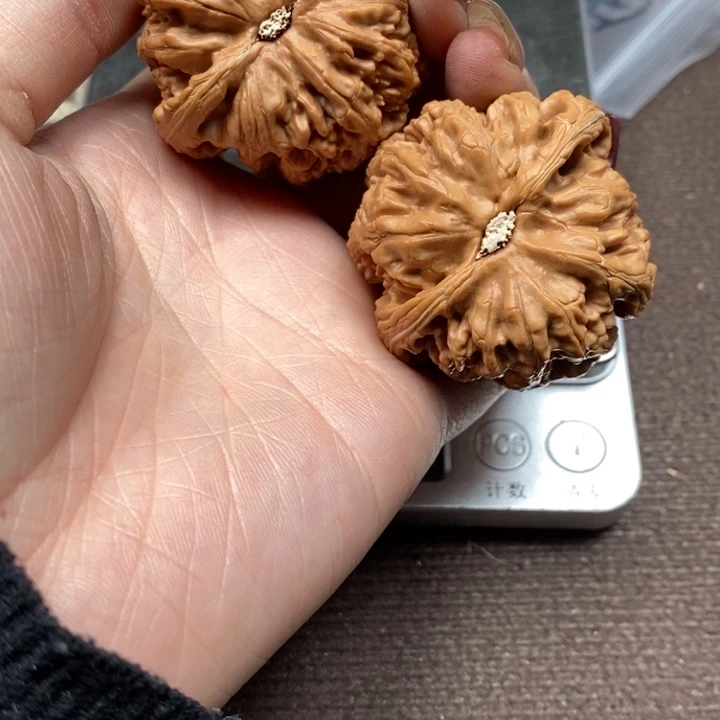 文玩核桃吊坠粗筋微修