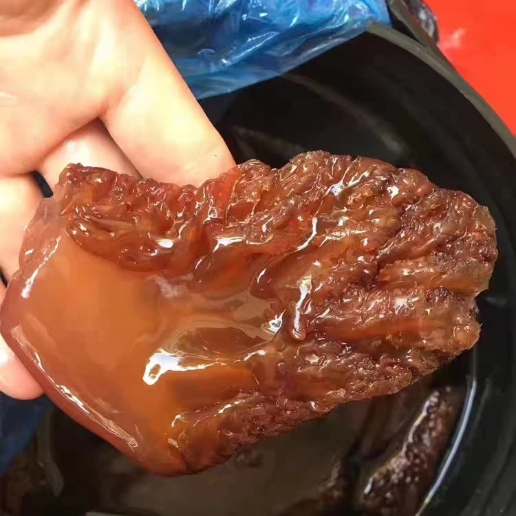 【卜一专属】海蜇头 到手5包 500克/包连云港发货