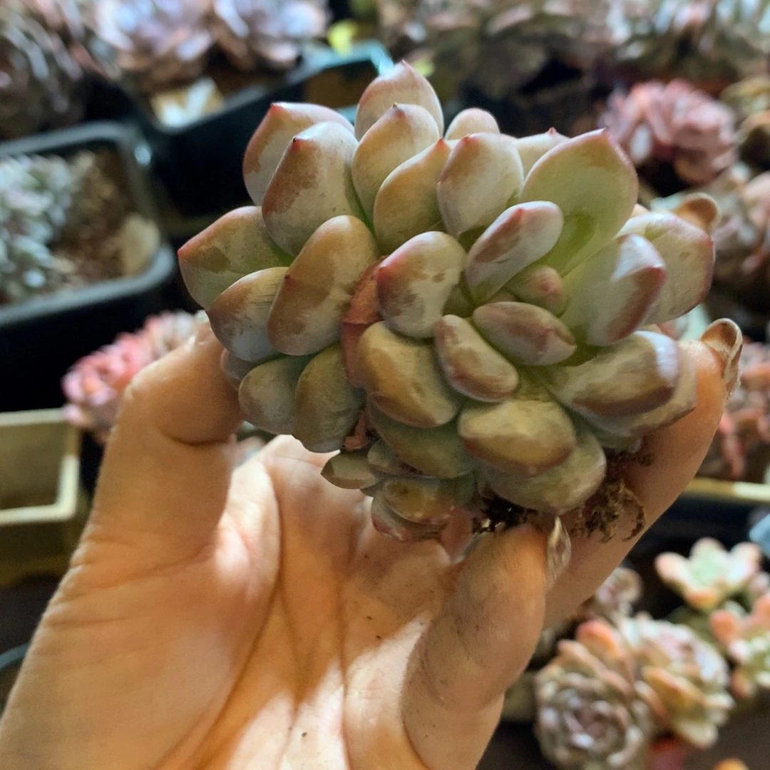 哈哈哈哈哈哈哈哈哈哈，