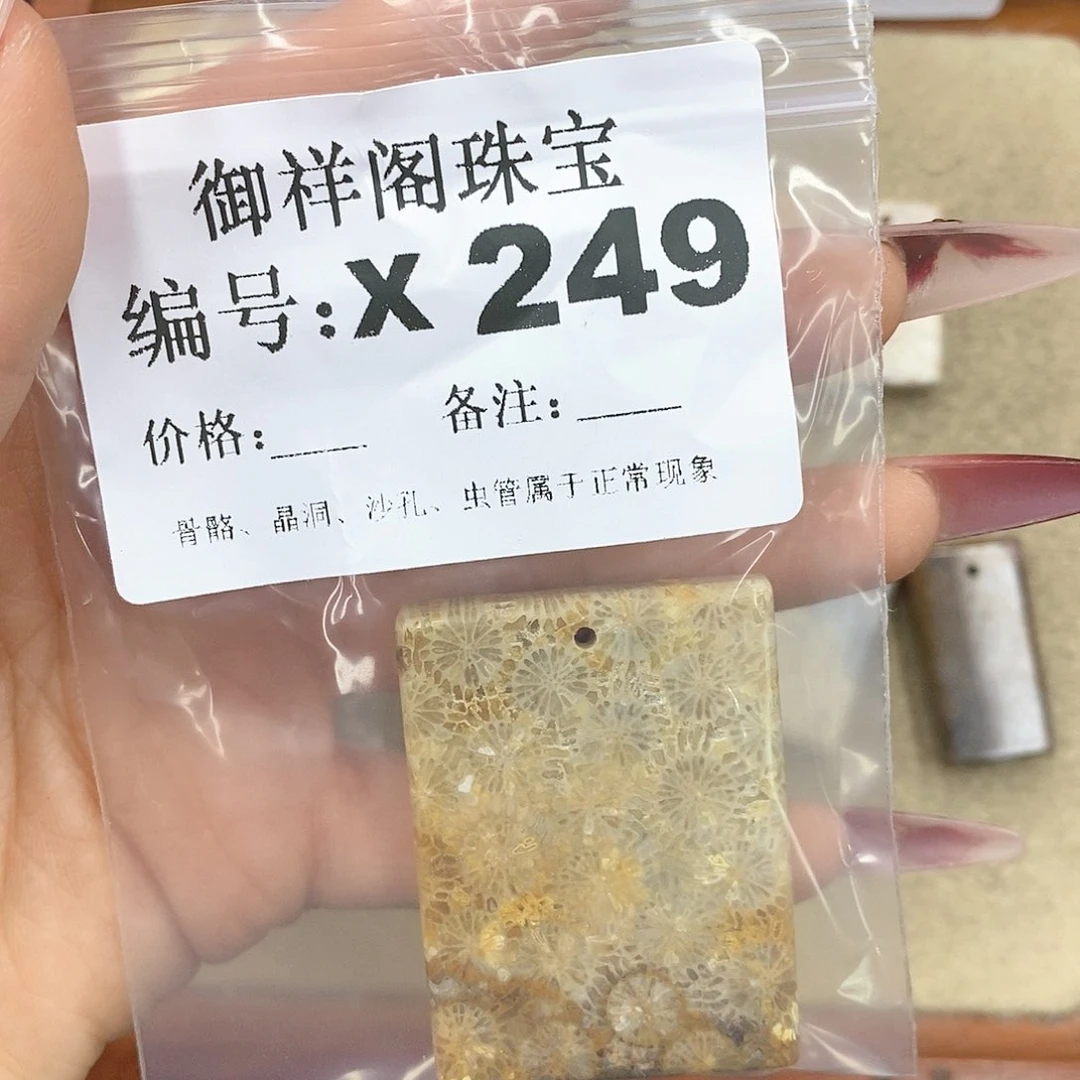 硅化珊瑚（珊瑚玉）颈饰未镶嵌?*?