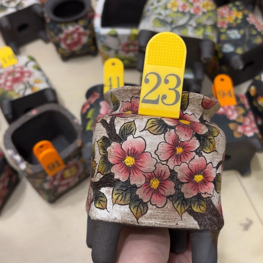 缸我**育哈哈哈哈哈哈哈哈