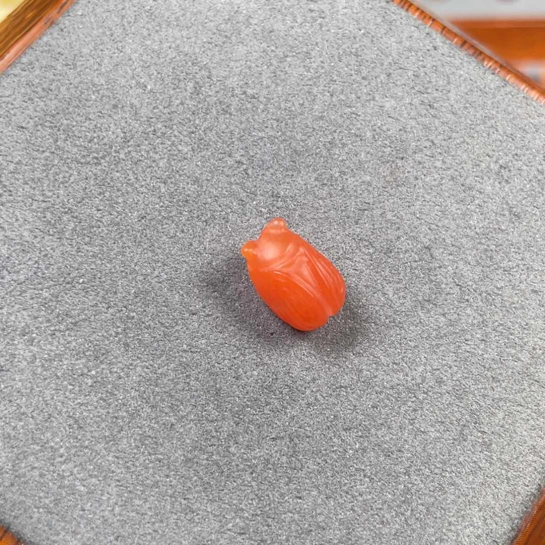 南红玛瑙知了一鸣惊人未镶嵌