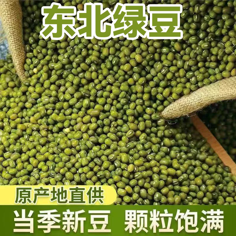 东北绿豆3斤新货农家自产小绿豆绿豆汤材料