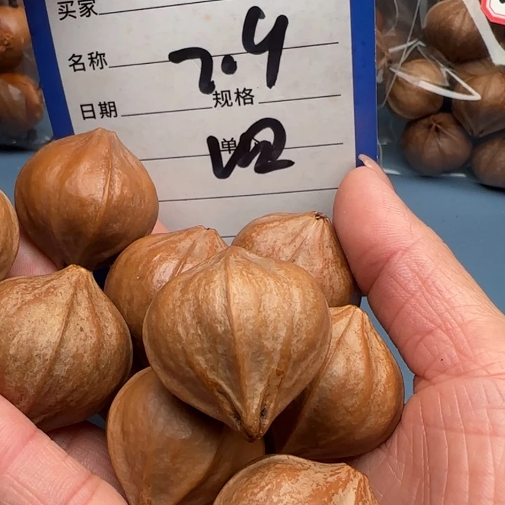 .***园手串橄榄核橄榄核