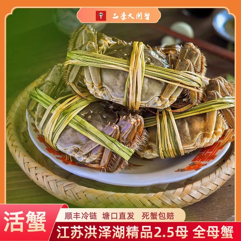 【洪泽湖活蟹】全母蟹2.6-2.3两 6只+4只 10只装 顺丰空运礼盒发货