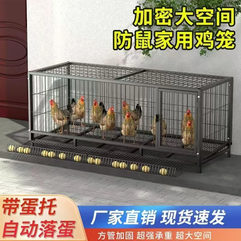 鸡笼自家用大号包邮养殖笼家用清仓养鸡笼子自动滚蛋鸡笼子蛋鸡笼