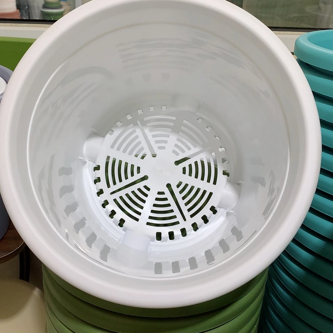 树脂四季口29白5个无托