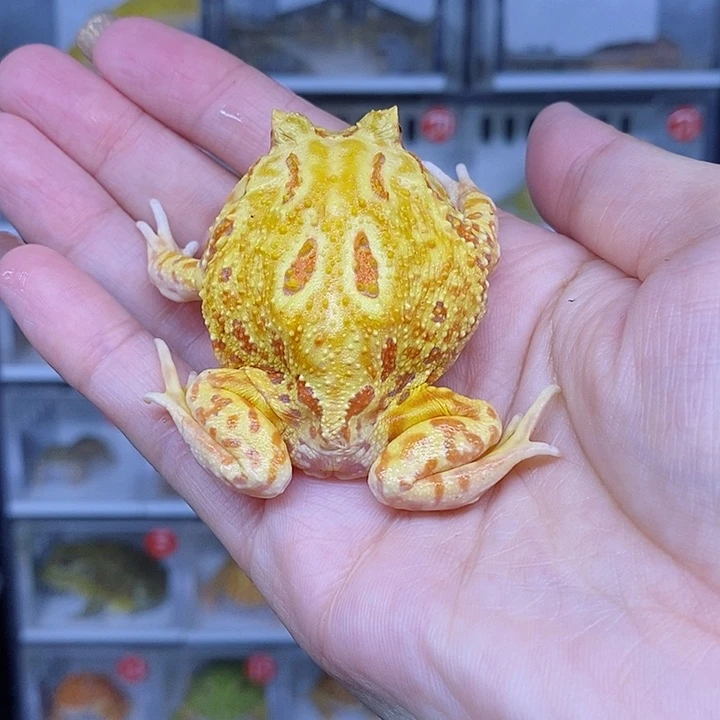 特价秒杀现货特价